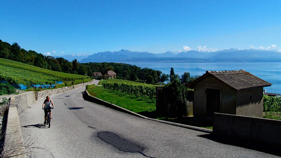 Velofahrerin am Genfersee