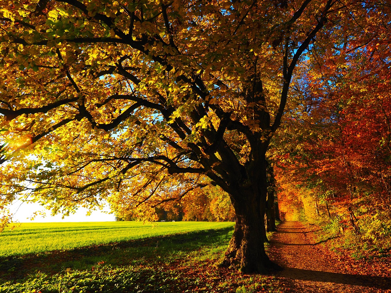 Herbstliche Entspannung beim Velofahren